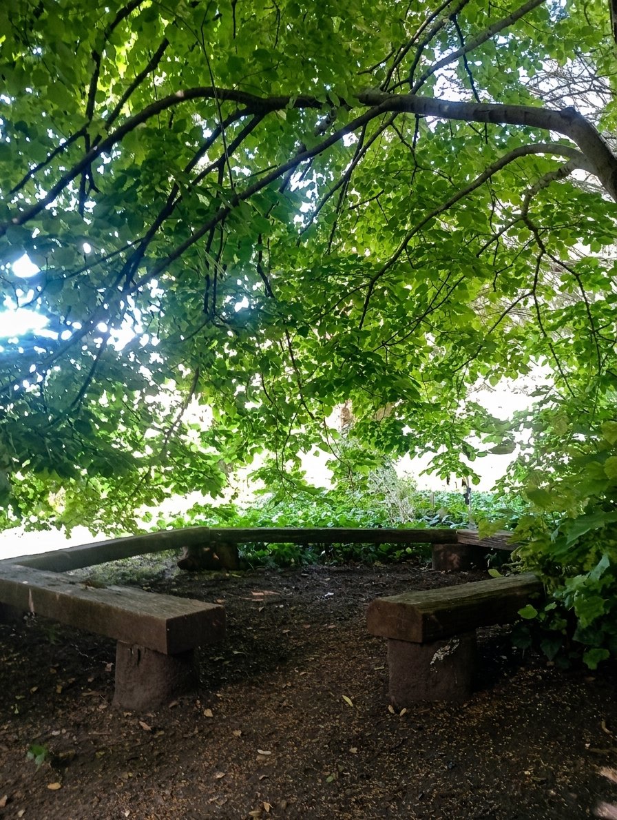Banco de madera bajo un árbol, en un rincón de descanso del jardín